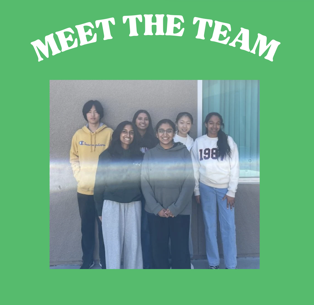 Meet the Team